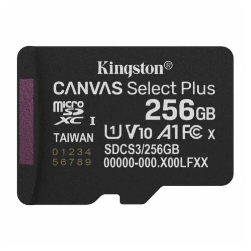 Kingston mikro SD SDCS3 256GB Cijene