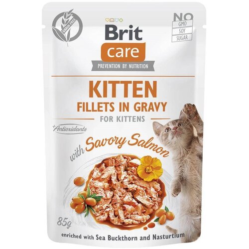 Brit Care Cat Kitten Savory Salmon Pouch - mokra mačja hrana - 85 g, (21385785) Cene