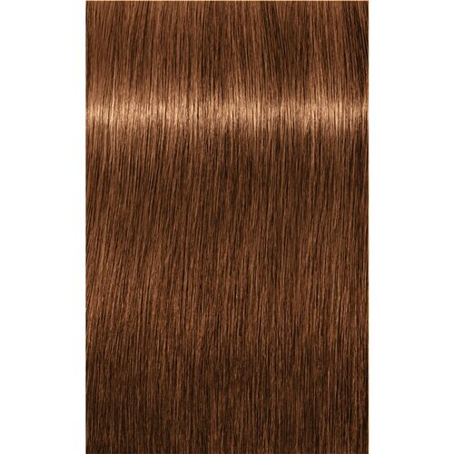 Schwarzkopf igora Royal Absolutes - 7-60 srednje blond čokoladna natur, 60 ml Slike