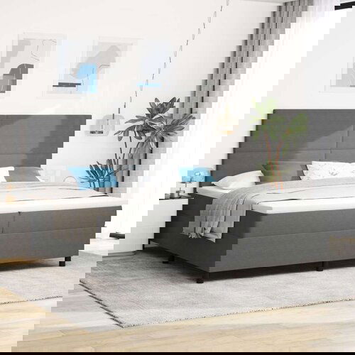  Box Spring Postelja z vzmetnico in LED svetlobo Siva 200x200 cm Žametna tkanina, (22081026) Cene