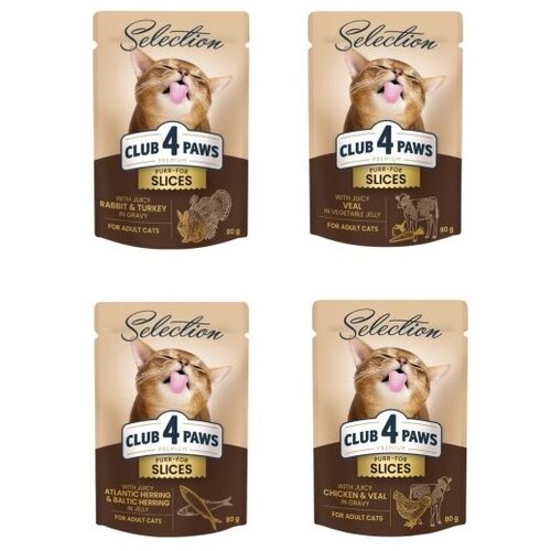 Normandise Club4Paws Selection sos za mačke Cat - Komadići piletine i teletine 80g Cene