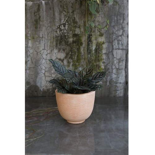  Terakota tegla FI 22 X H 17 cm PLANTER Cijene