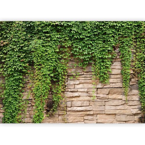  Foto tapeta - Ivy wall 150x105 Cene