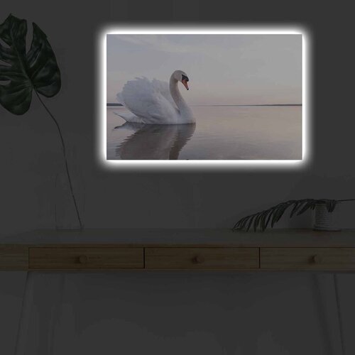 Wallity Slika sa LED osvetljenjem 4570DHDACT-111, 45x70 cm Cene