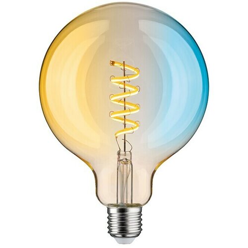 PAULMANN LED Smart žarulja (E27, Može se prigušiti, Neutralno bijelo, 600 lm, 7,5 W, G125, Zaobljen) Cijene