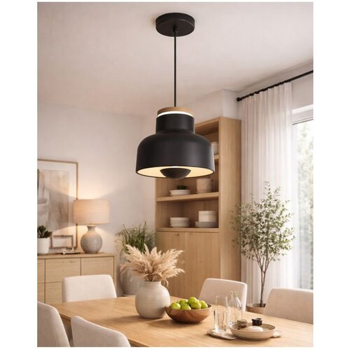 Opviq luster Maas 3444K-1A-19, LED 20 W, crni Cene