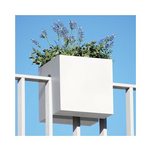 rephorm Posoda za rastline "Steckling Cube" - Bela Cene