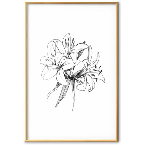  Plakat Drawn Flowers 40x60 Cijene