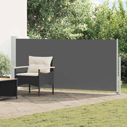  Retraktabilna bočna tende Antracit 300 x 120 cm Poliester Cene
