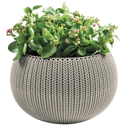 Keter Plastična viseća i zidna posuda za cvijeće ø 36 cm Cozy – Cijene