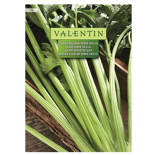 VALENTIN Sjeme povrća Celer Verde Pascal (Apium graveolens, Berba: Svibanj) Cijene