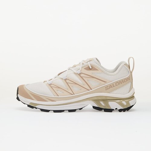 Salomon Advanced BAJO XT 6 EXPANSE Bijela Cijene