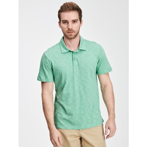 GAP Polo T-shirt stripe - Men Cene