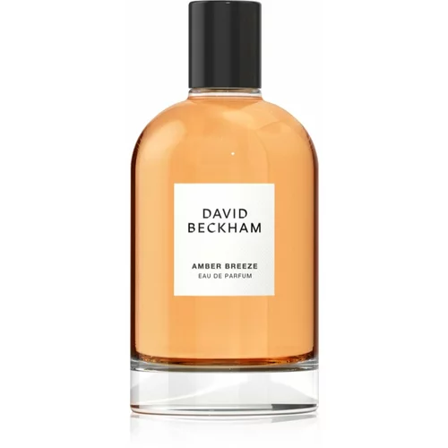 David Beckham Amber Breeze parfumska voda za moške 100 ml