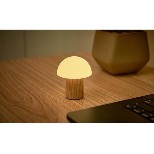 Gingko LED zatemnitvena namizna svetilka iz masivnega jesena v naravni barvi (višina 7 cm) Alice – Cene