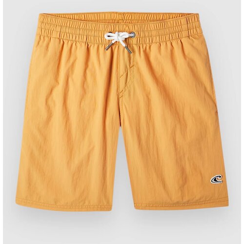 O'neill Vert 14 Kids Boardshorts nugget Cene