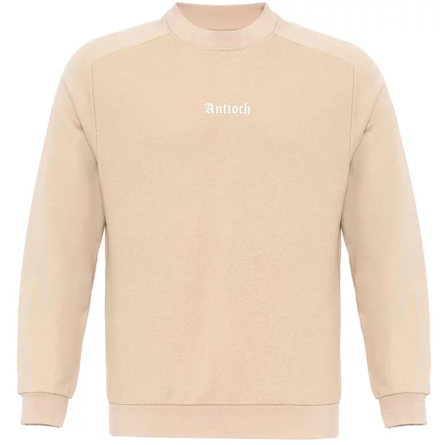 Antioch Sweater majica nude / bijela