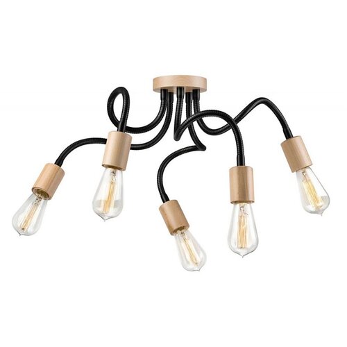  Plafonski luster CAMERON 5xE27/60W/230V Cene