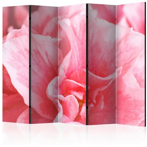 Artgeist Paravan Pink Azalea Flowers I, 5-Delni, Dvostranski Cene