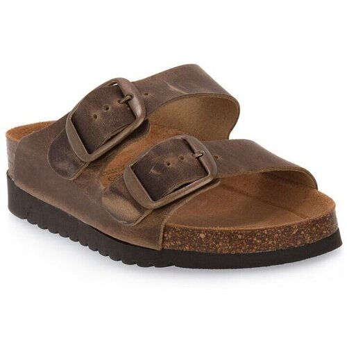Grunland Japonke Beige 11HOLA Kostanjeva Slike