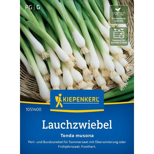 KIEPENKERL Prezimna spomladanska čebula Tonda musona - 1 pkt. Cene