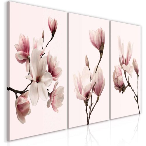  Slika - Spring Magnolias (3 Parts) 60x30 Cene