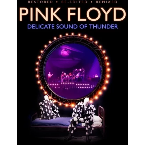 Pink Floyd - Delicate Sound Of Thunder (Box Set)