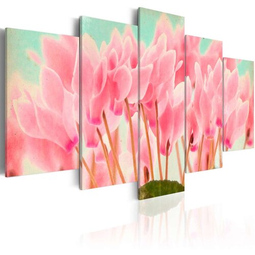  Slika - Cyclamen 200x100 Cijene