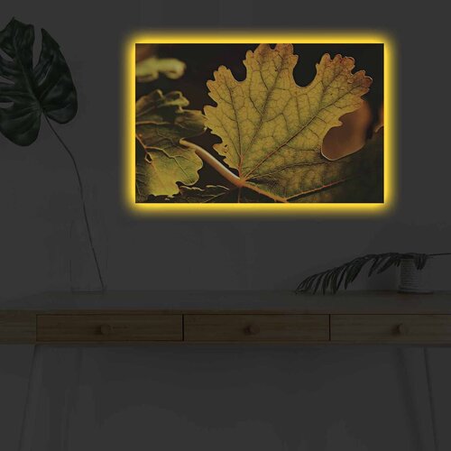 Wallity Slika sa LED osvetljenjem 4570DHDACT-132, 45x70 cm Cene