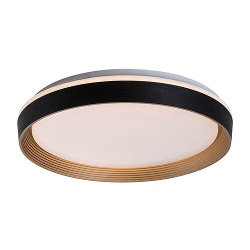 Rabalux plafonjera Ladan, LED, Sa daljinskim, 48W, 3000-6500K, 50cm, Crna Slike