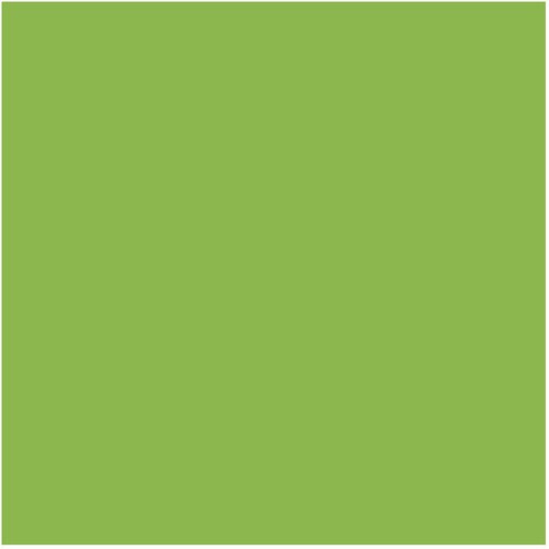  PAPIR U BOJI B1 200G BRISTOL COLOR PK10 CONNECT 230 PISTACIO Cene
