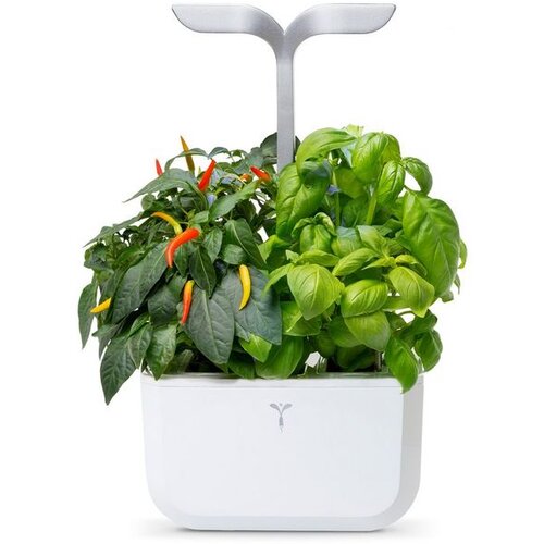  Exky&amp;reg; SMART Arctic White Kućni Vrt Slike