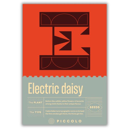 E - Electric daisy - spilantes - 1 pkt. Cene