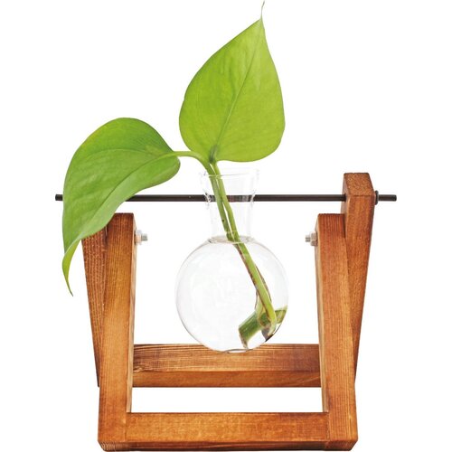 Winkee Hydro Vase Lilly - 1 kos Cene