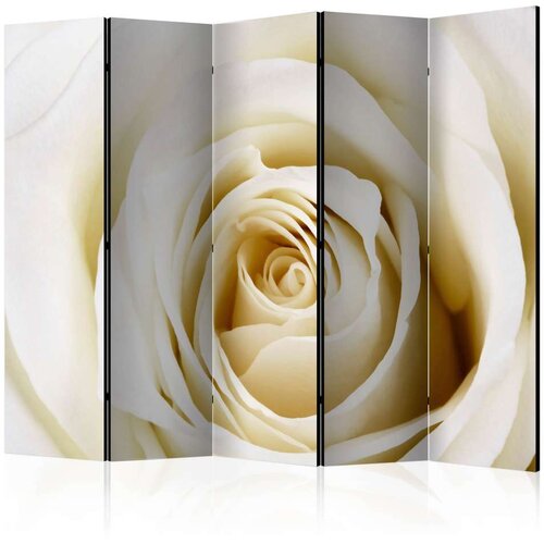  Paravan u 5 dijelova - Pearl maze II [Room Dividers] 225x172 Cijene