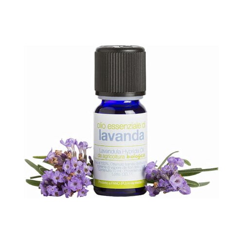 La Saponaria Sivkino olje - 10 ml Cene