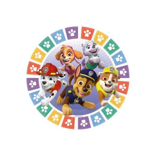 Amscan TANJIRICI 23CM PAW PATROL Cijene