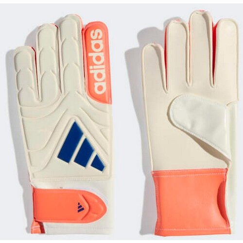 Adidas Rukavice copa gl clb j BG Cene