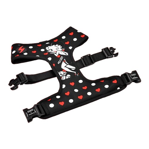 Dashi am za pse Betty Boop, S Slike