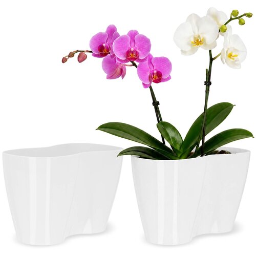KADAX cvetlični lonec, cvetlični lonec, plastični cvetlični lonec, orhideja, 23 cm, bel, (5000346099) Cene