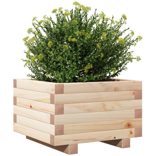  Vrtna sadilica 40x40x26,5 cm od masivne borovine Slike