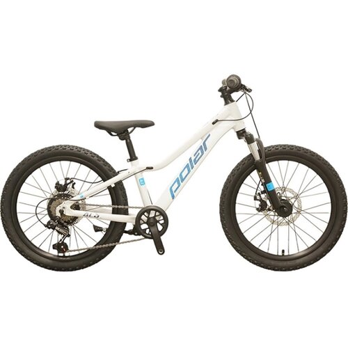  BICIKL POLAR ALASKA 20 silver Cene