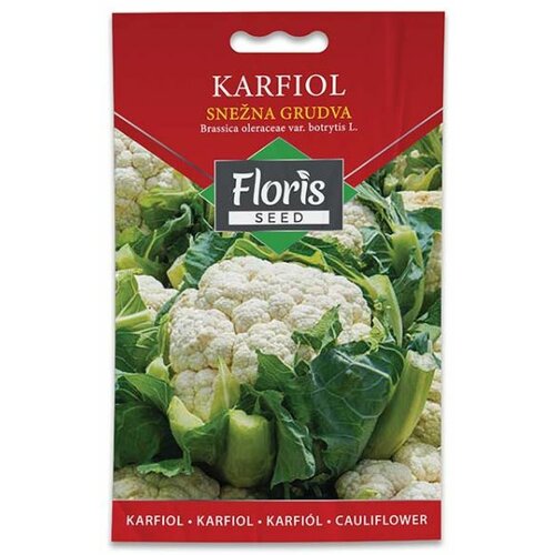 Floris seme povrće-karfiol snežna grudva 1g FL Slike