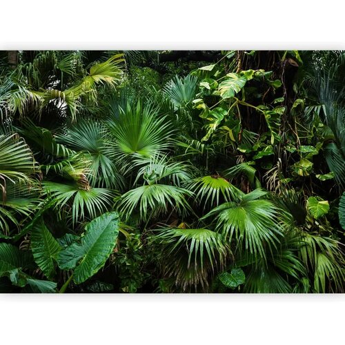 Foto tapeta - Sunny Jungle 392x280 Slike