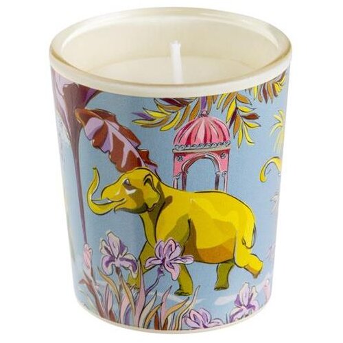 Goldbuch mirisna svijeća Turnowsky Insignia, aroma Ceylon Canto Cijene
