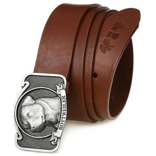 Beltimore W2438006 Smeđa Cene