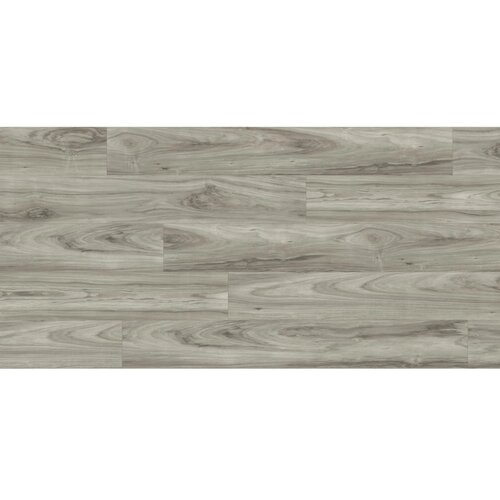 Kaindl laminat masterfloor 7 mm hrast blackwood Slike