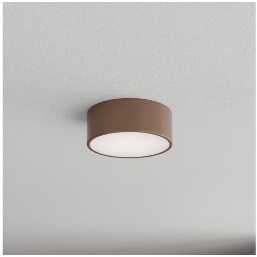 Brilagi Kupatilsko stropno svetlo sa senzorom CLARE 1xE27/24W/230V prečnik 20 cm braon IP54 Slike