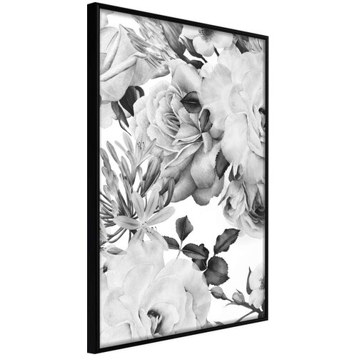  Poster - Black and White Nature 40x60 Slike