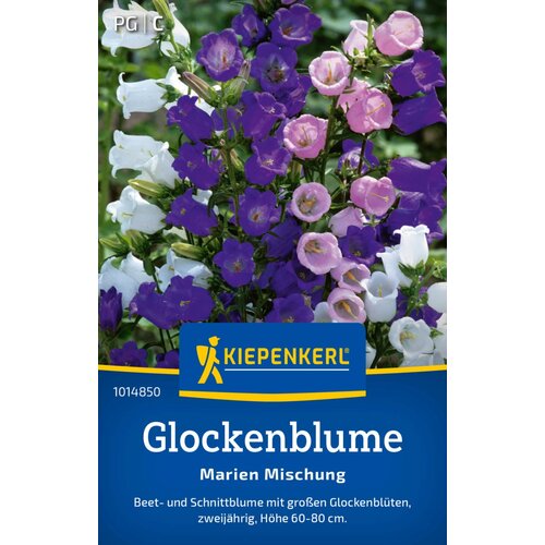KIEPENKERL Canterbury bells "Bujna mešanica" - 1 pkt. Cene